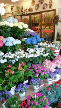 「福花園」　（島根県大田市）の花屋店舗写真1