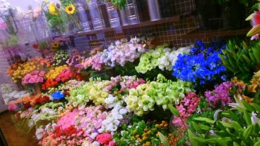 「福花園」　（島根県大田市）の花屋店舗写真2